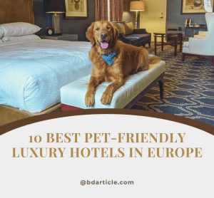 Pet-friendly luxury hotels in Europe