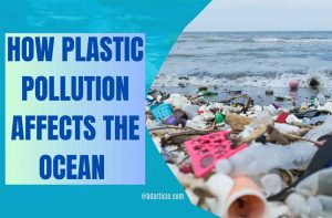 How Plastic Pollution Affects the Ocean