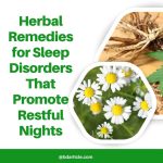 Herbal Remedies for Sleep Disorders That Promote Restful Nights