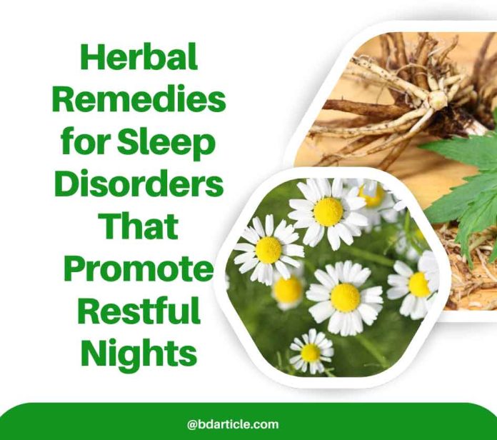 Herbal Remedies for Sleep Disorders That Promote Restful Nights