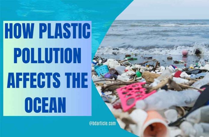 How Plastic Pollution Affects the Ocean